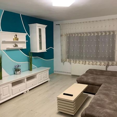Apartament 3 Camere Spatios Timisoara Exterior foto