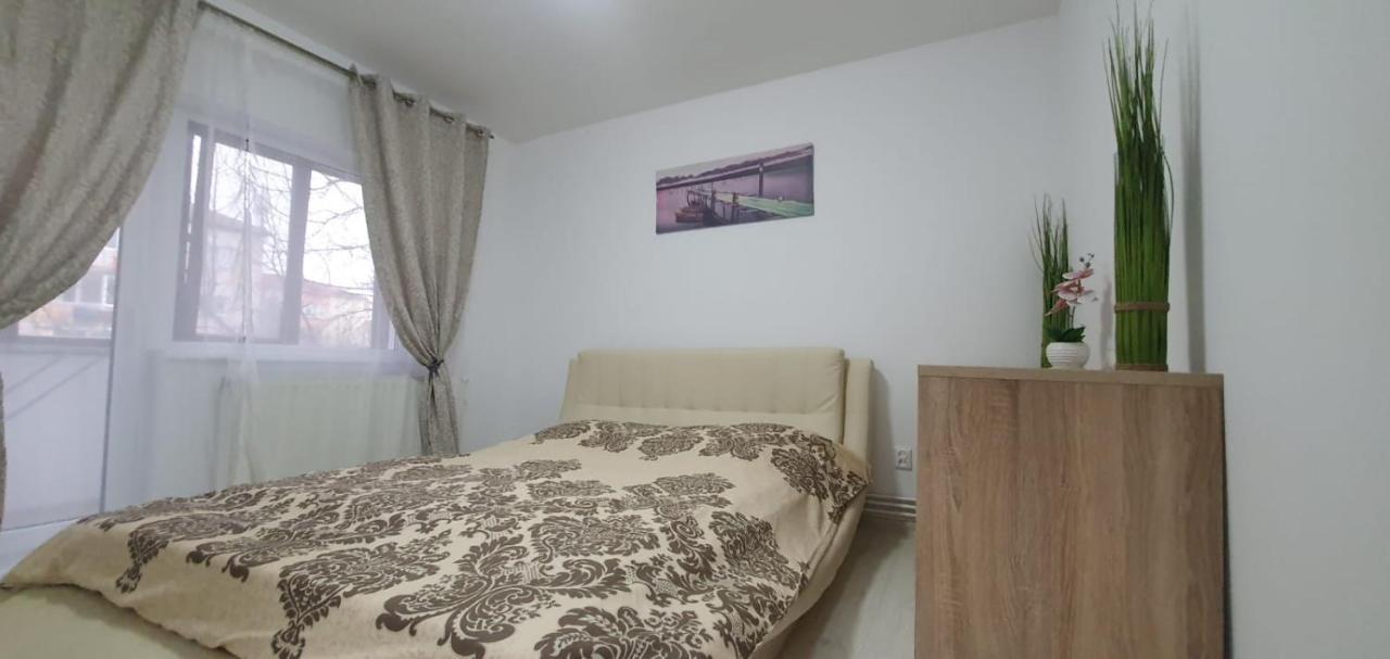 Apartament 3 Camere Spatios Timisoara Exterior foto