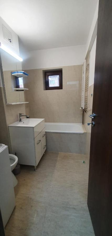 Apartament 3 Camere Spatios Timisoara Exterior foto